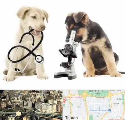 آزمایشگاه دامپزشکی در مرزداران 