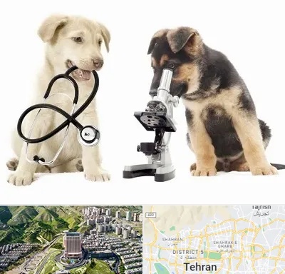 آزمایشگاه دامپزشکی در شمال تهران 