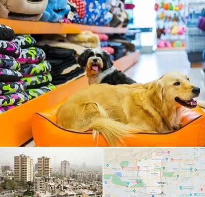 پت شاپ عمده در منطقه 5 تهران 