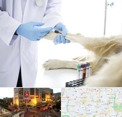 آزمایشگاه حیوانات در جنت آباد تهران 