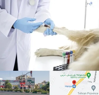 آزمایشگاه حیوانات در هروی 