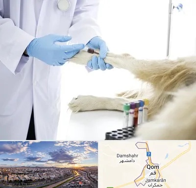 آزمایشگاه حیوانات در قم