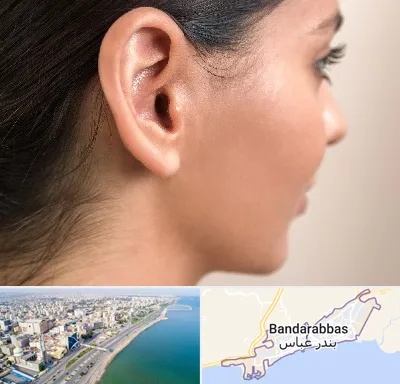 عمل گوش بل در بندرعباس