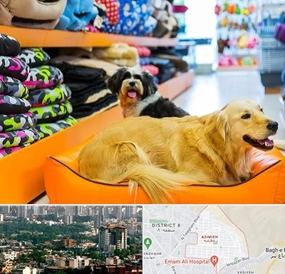 پت شاپ عمده در عظیمیه کرج 