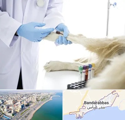 آزمایشگاه حیوانات در بندرعباس