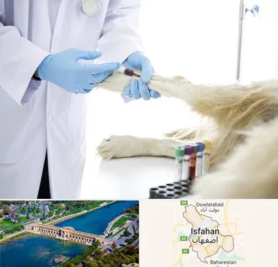آزمایشگاه حیوانات در اصفهان