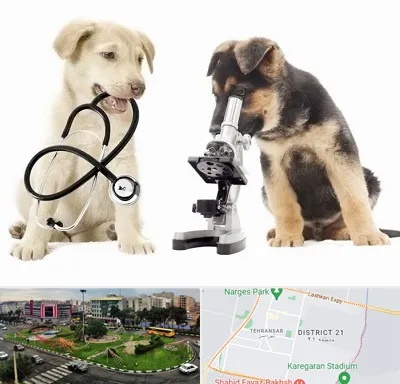 آزمایشگاه دامپزشکی در تهرانسر 