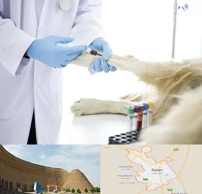 آزمایشگاه حیوانات در سیرجان