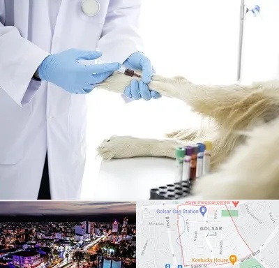 آزمایشگاه حیوانات در گلسار رشت 
