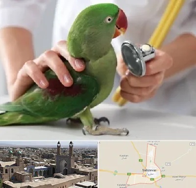 درمانگاه شبانه روزی پرندگان در سبزوار