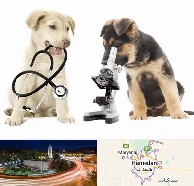 آزمایشگاه دامپزشکی در همدان