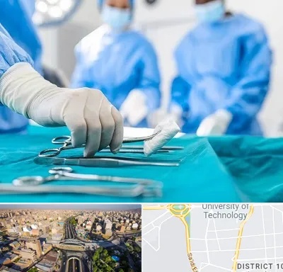 مونس پلاستی در استاد معین 