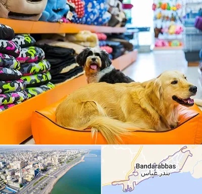 پت شاپ عمده در بندرعباس