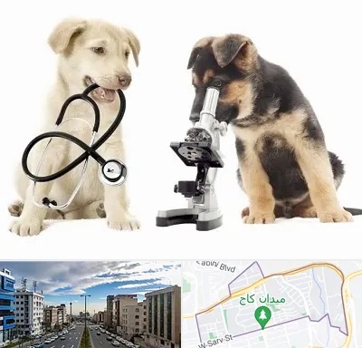آزمایشگاه دامپزشکی در سعادت آباد 