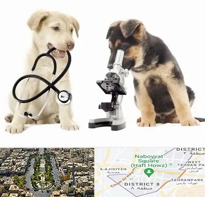 آزمایشگاه دامپزشکی در نارمک 