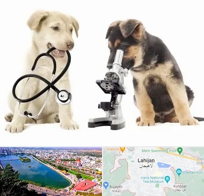 آزمایشگاه دامپزشکی در لاهیجان
