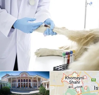 آزمایشگاه حیوانات در خمینی شهر