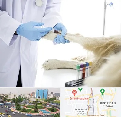 آزمایشگاه حیوانات در ونک 