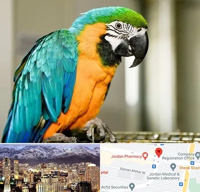 داروخانه شبانه روزی پرندگان در جردن 
