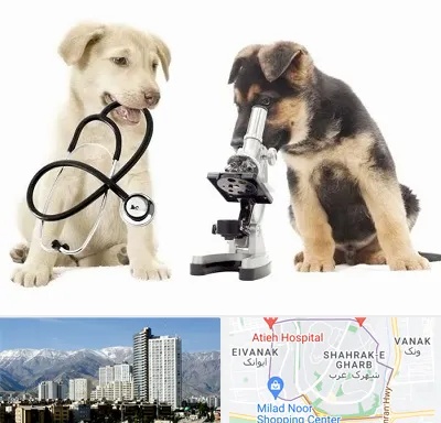 آزمایشگاه دامپزشکی در شهرک غرب 
