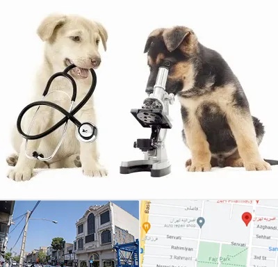 آزمایشگاه دامپزشکی در افسریه 