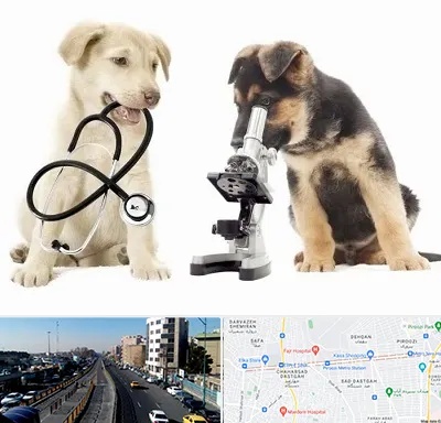 آزمایشگاه دامپزشکی در پیروزی 