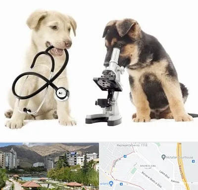 آزمایشگاه دامپزشکی در شهر زیبا 