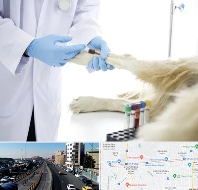 آزمایشگاه حیوانات در پیروزی 