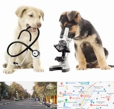 آزمایشگاه دامپزشکی در شریعتی 