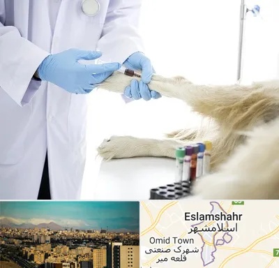 آزمایشگاه حیوانات در اسلامشهر