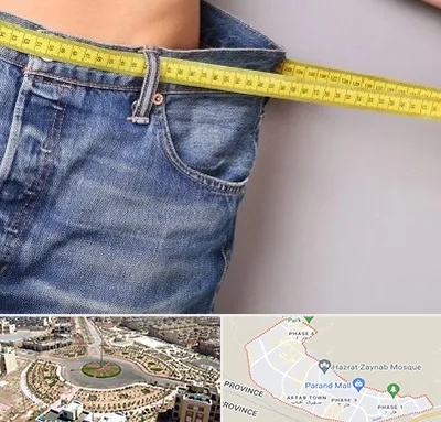 عمل لیپوماتیک در پرند