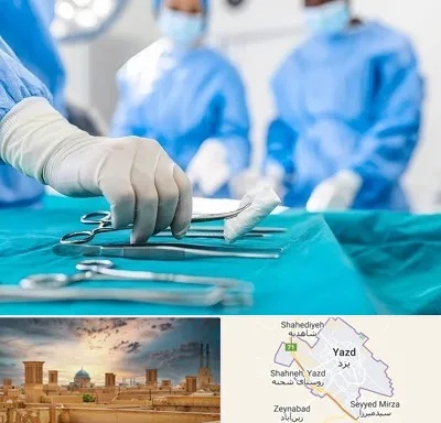 مونس پلاستی در یزد