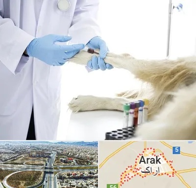آزمایشگاه حیوانات در اراک