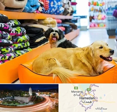 پت شاپ عمده در همدان