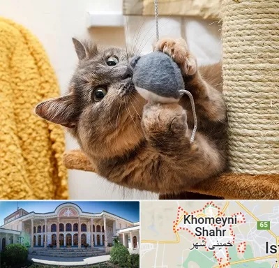 خرید اسباب بازی گربه در خمینی شهر