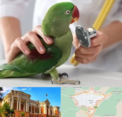درمانگاه شبانه روزی پرندگان در خوی