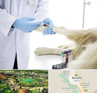 آزمایشگاه حیوانات در بروجرد