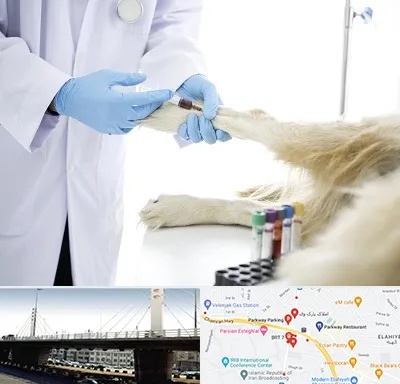 آزمایشگاه حیوانات در پارک وی 