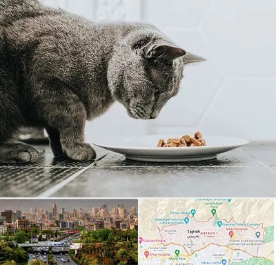خرید غذای گربه در منطقه 1 تهران 