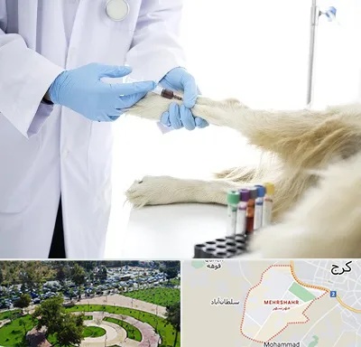 آزمایشگاه حیوانات در مهرشهر کرج 