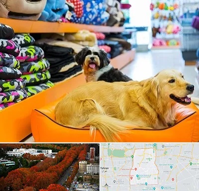 پت شاپ عمده در منطقه 6 تهران 