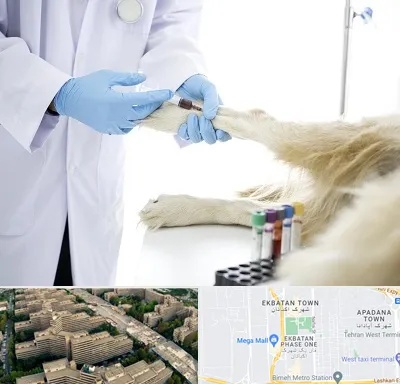 آزمایشگاه حیوانات در اکباتان 