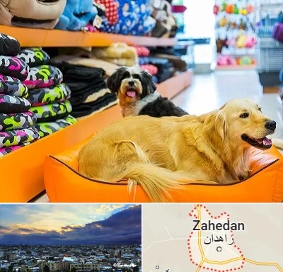 پت شاپ عمده در زاهدان