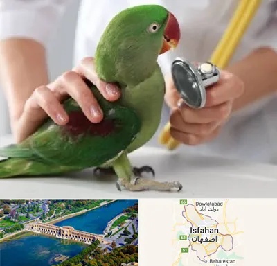 درمانگاه شبانه روزی پرندگان در اصفهان