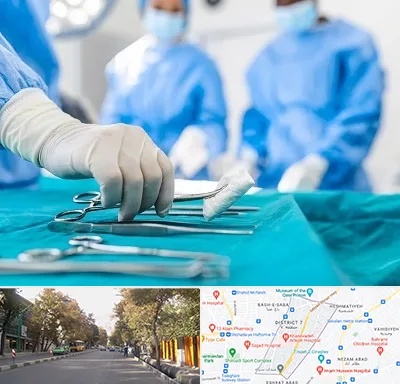 مونس پلاستی در شریعتی 