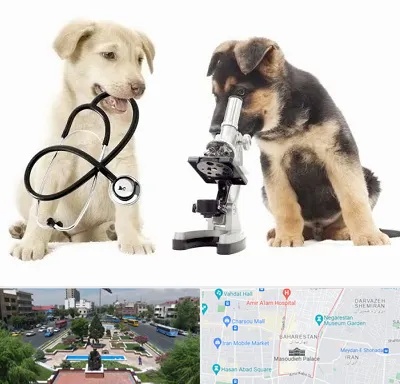 آزمایشگاه دامپزشکی در بهارستان 