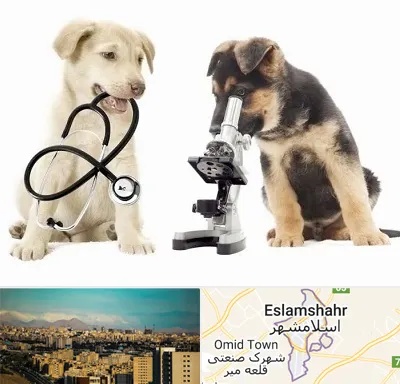 آزمایشگاه دامپزشکی در اسلامشهر