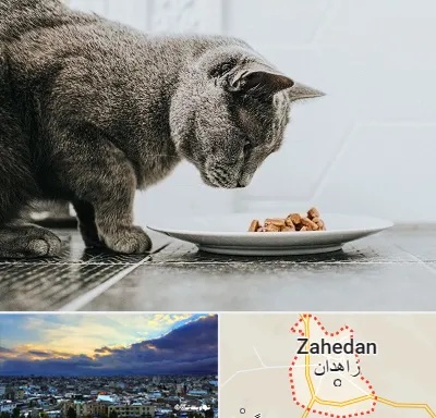 خرید غذای گربه در زاهدان