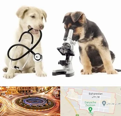 آزمایشگاه دامپزشکی در بهارستان