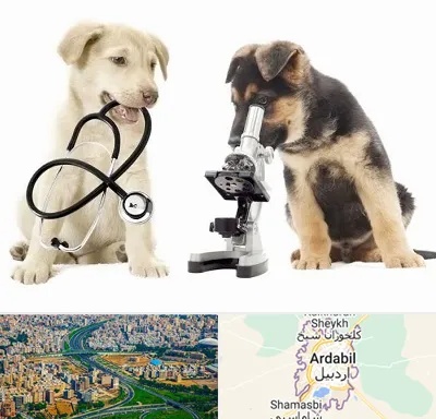 آزمایشگاه دامپزشکی در اردبیل